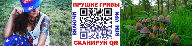 продажа наркотиков  Алапаевск  Галлюциногенные грибы Magic Shrooms 