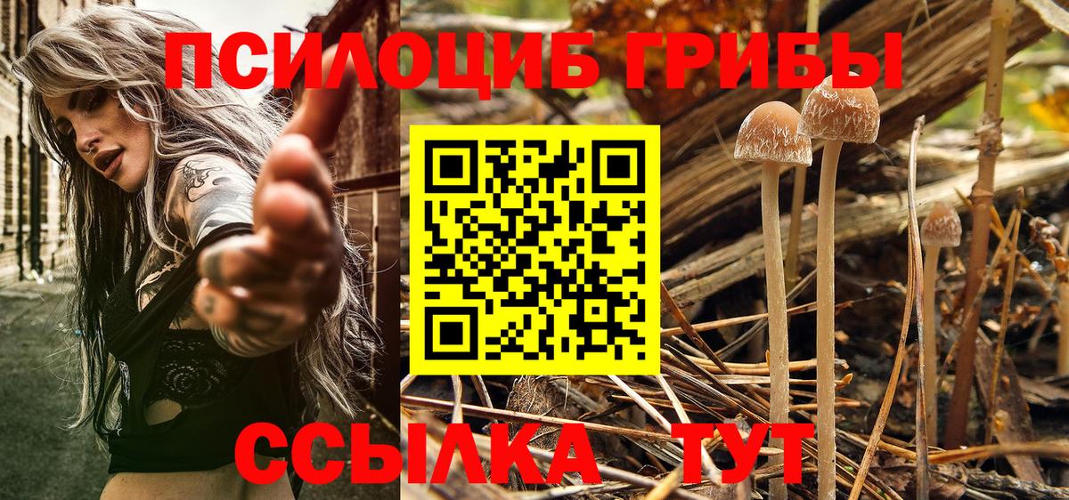 Псилоцибиновые грибы мухоморы Алапаевск